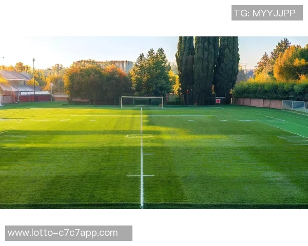 宝体足球场的魅力与激情:探寻绿茵场上的运动精神与团队合作之美 宝体足球场的魅力与激情:探寻绿茵场上的运动精神与团队合作之美